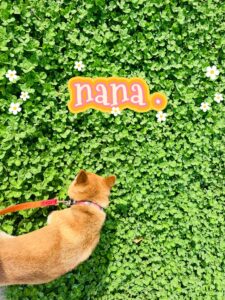 nana.